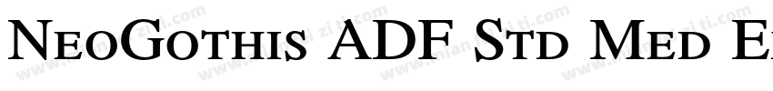 NeoGothis ADF Std Med ExtraBold字体转换